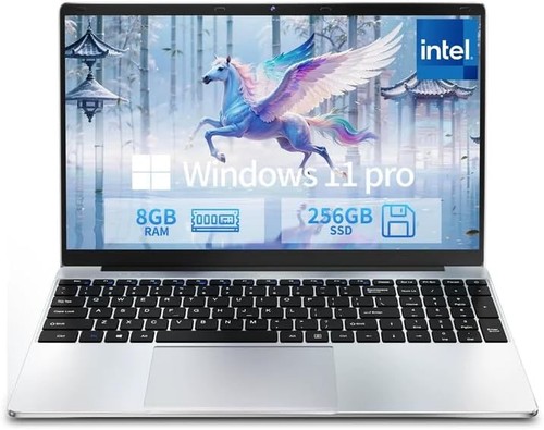 Windows 11 pro laptop - 15.6''windows,